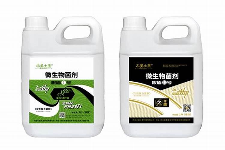 茄子冬天冲什么肥好