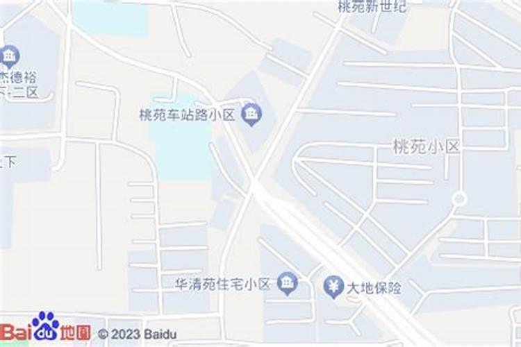 石榴树什么时候种植最好