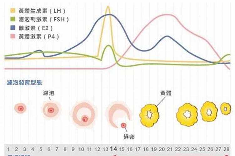 枣树如何施肥？
