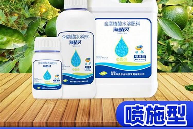 种菜地底肥用什么肥料最好