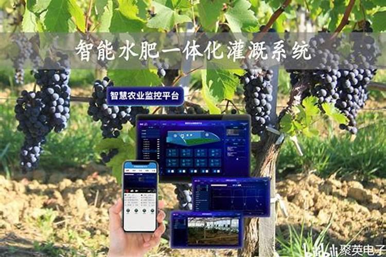 葡萄园施肥管理分为几部分？