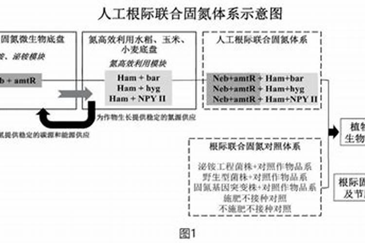 海藻酸肥料功效与特点