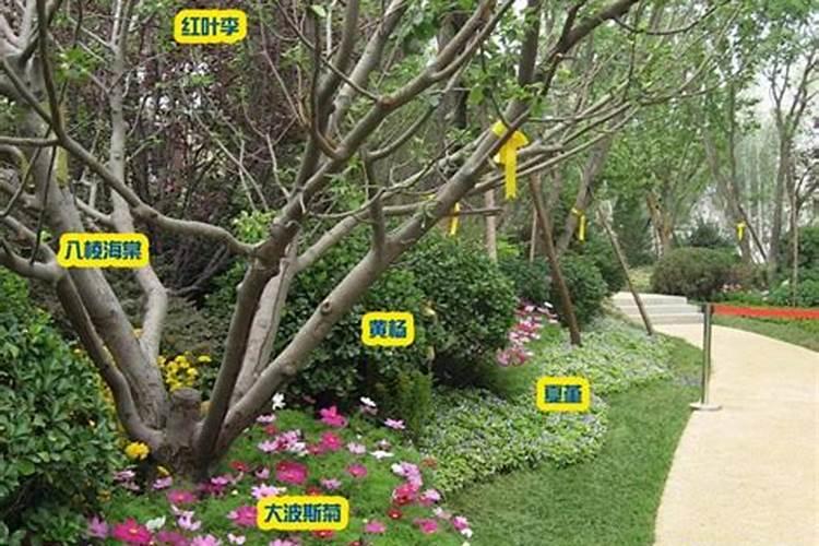 河南恒盛润民生物科技有限公司产品