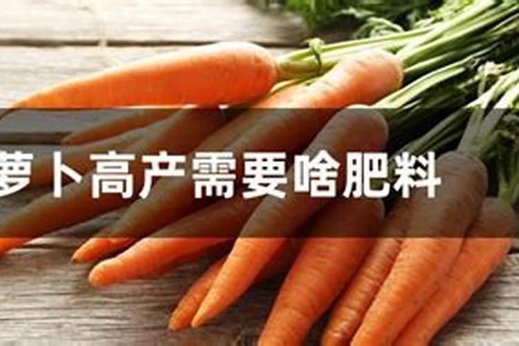 胡萝卜施什么肥最好