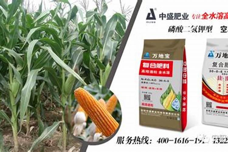 玉米专用肥哪个好
