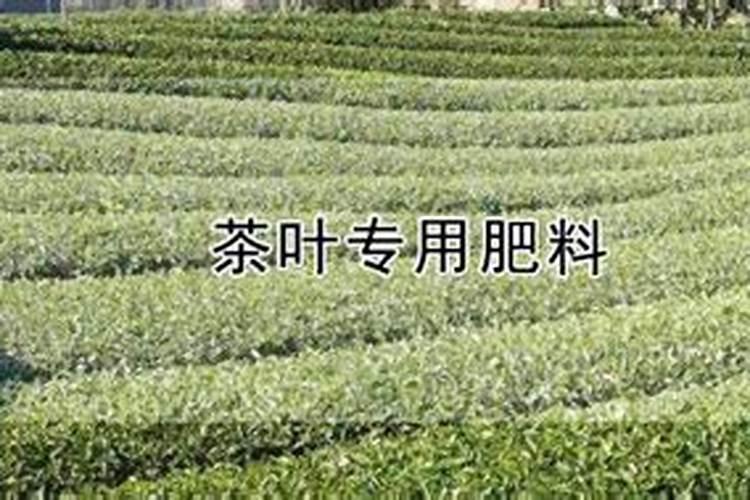 玉米叶面肥配制