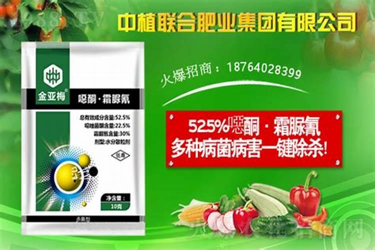 平衡肥膨果快还是高钾肥快