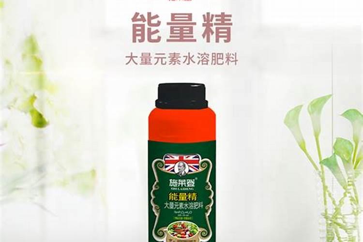 发霉的橘子能派上什么用场？