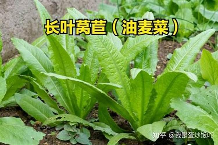 铵态氮肥避免与碱性物质混合使用,原因是？