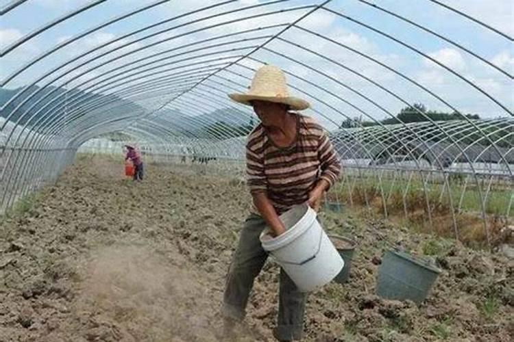 潍坊市金亿丰化肥有限公司怎么样？