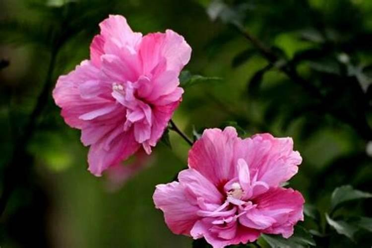 氡泉水可以喝吗？