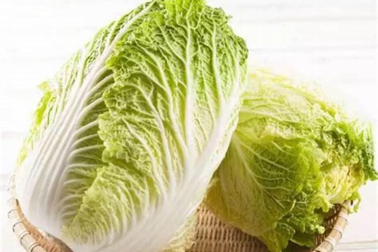 种白菜用什么底肥最好