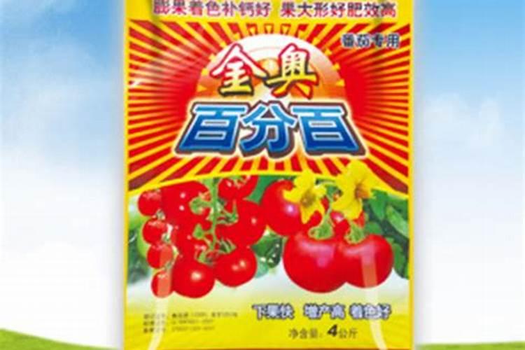 三角梅用什么肥料好