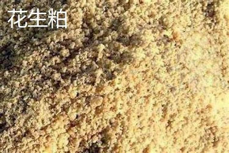 高蛋白鱼饲料配方