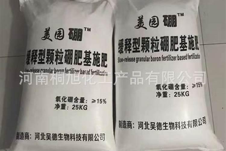 越冬菠菜怎么施肥 高产施肥方法是什么