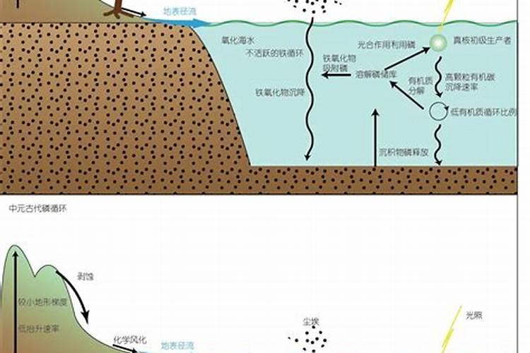 海水能提炼磷钾肥吗