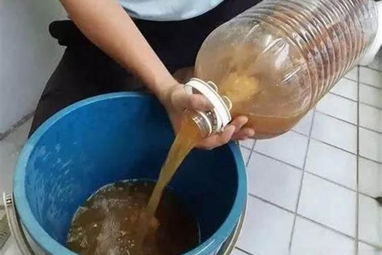 释迦果树开花前打什药最好