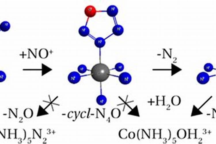 硝基肥与普通肥有什么不同？