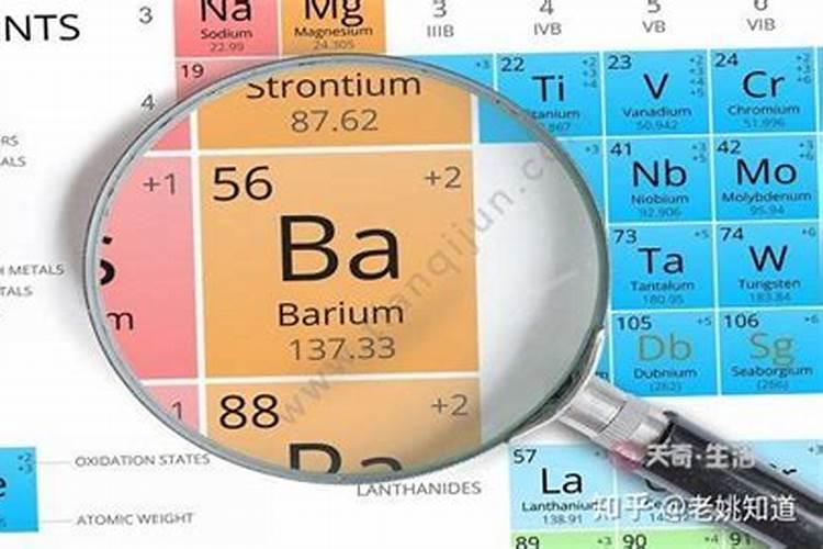 迎春花喜欢什么样的环境