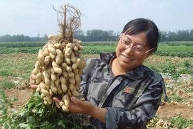 暴雨过后太阳连晒三天,山上还能捡到野生菌吗？