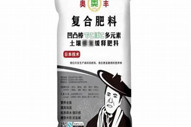 秋菠菜种植时间和方法