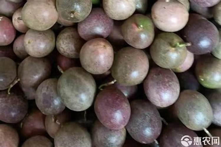 百香果结果期用什么复合肥？百香果膨果期用什么水溶肥好？