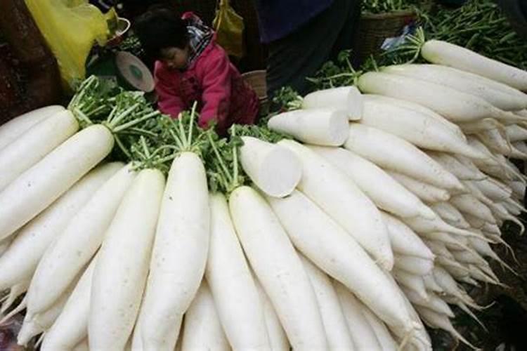 种植胡萝卜想要高产,在育苗期对肥料的要求都有哪些？