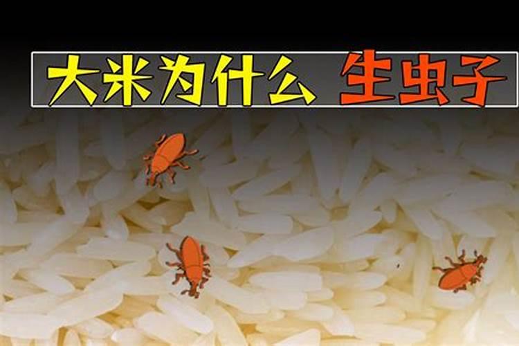 鱼蛋白肥料直接用到大田作物上好吗