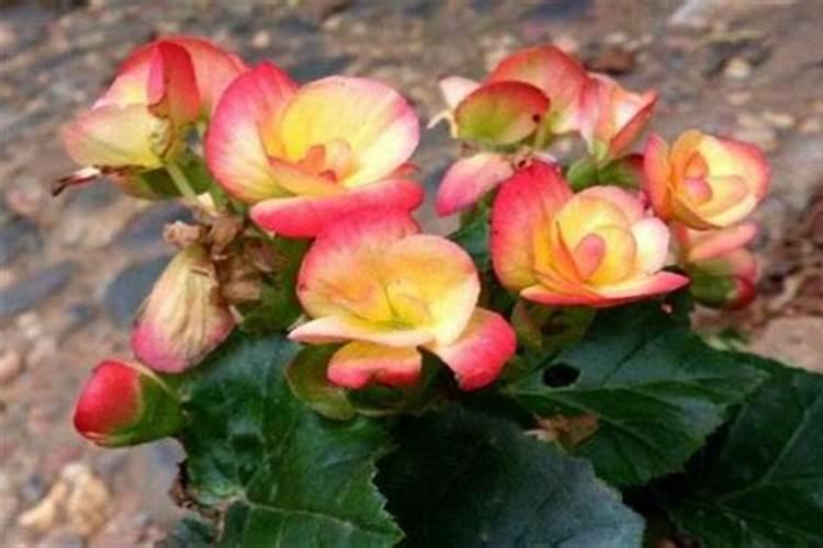 做手板行业的材料全都用塑料吗？