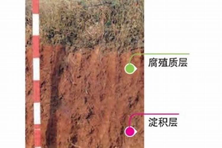 磷酸二氢钾黄腐酸锌流体硼芸苔素苯甲.吡唑酯虱螨脲甲维.虫螨晴糖能...