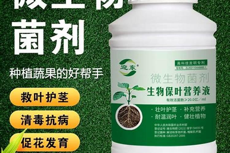 百香果一亩种植多少棵？亩产多少斤？