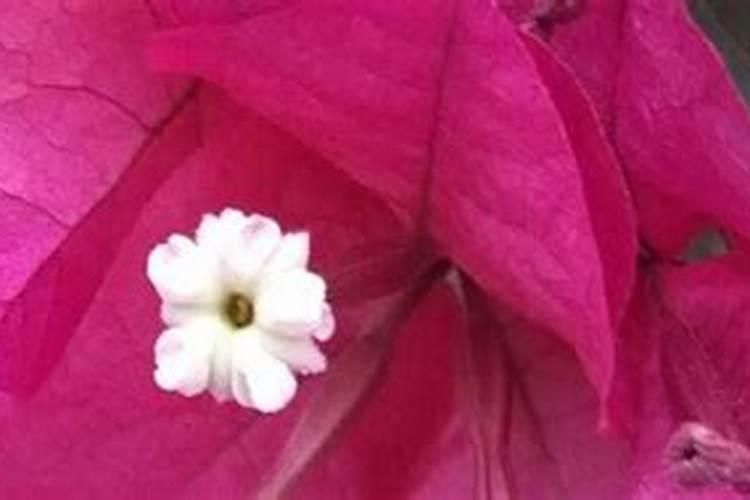 液态肥施肥罐车沼液还田机,为您提供高标准畜禽粪污施肥方案