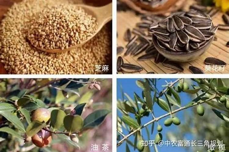 钙镁磷肥有什么特点 应怎样合理施用