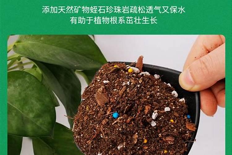 养花哪些肥料效果好