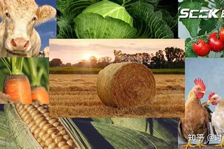 营养土和自然土的相同和不同