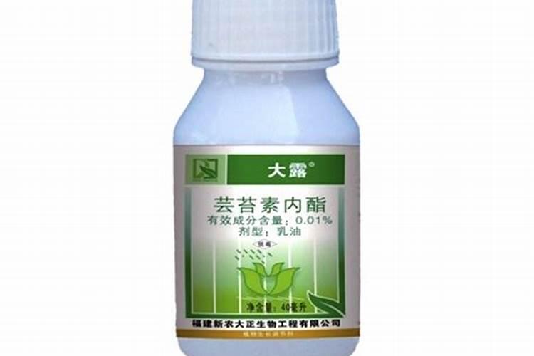 芸苔素内酯作用与功效和使用方法,多少钱一袋