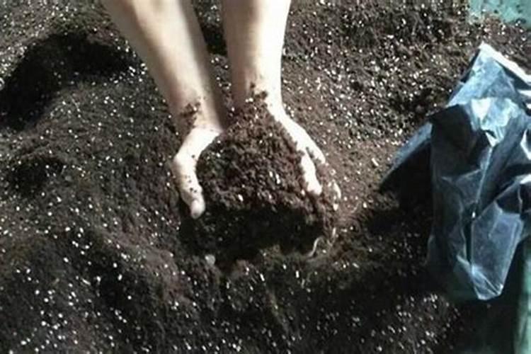 养花时营养土的配制方法