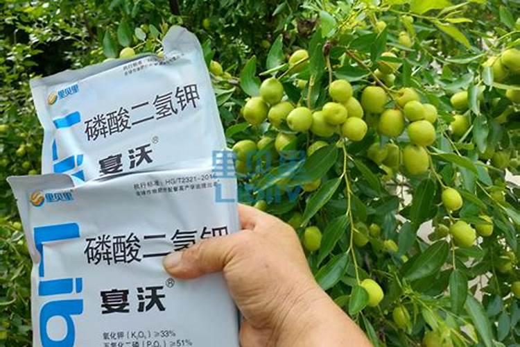 水溶肥排名