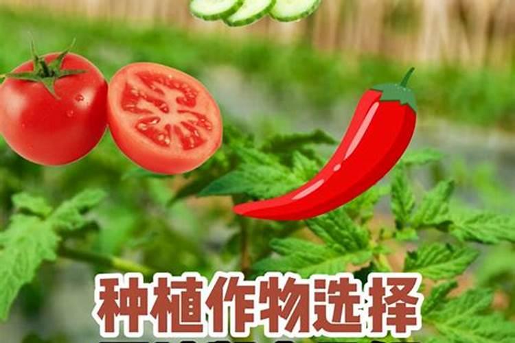 磷肥对哪些作物最好