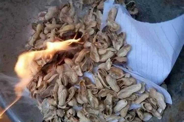 花生壳怎么发酵养兰花