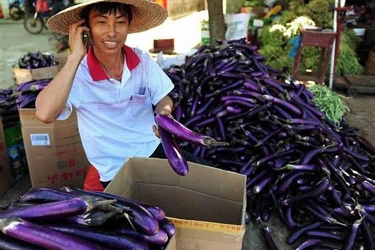 尿素浇菜最佳方法