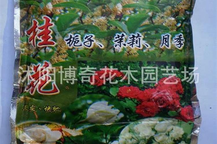 大量磷肥烧根吗