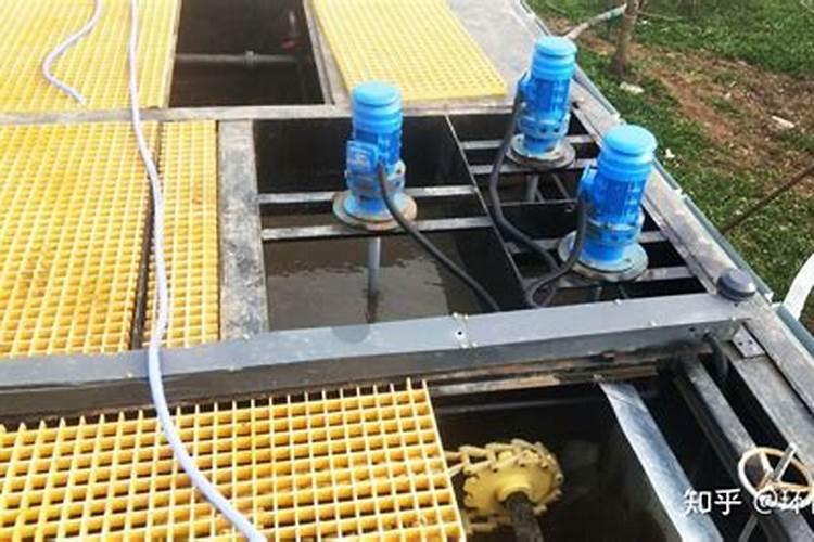 柑橘8月份施什么肥最好