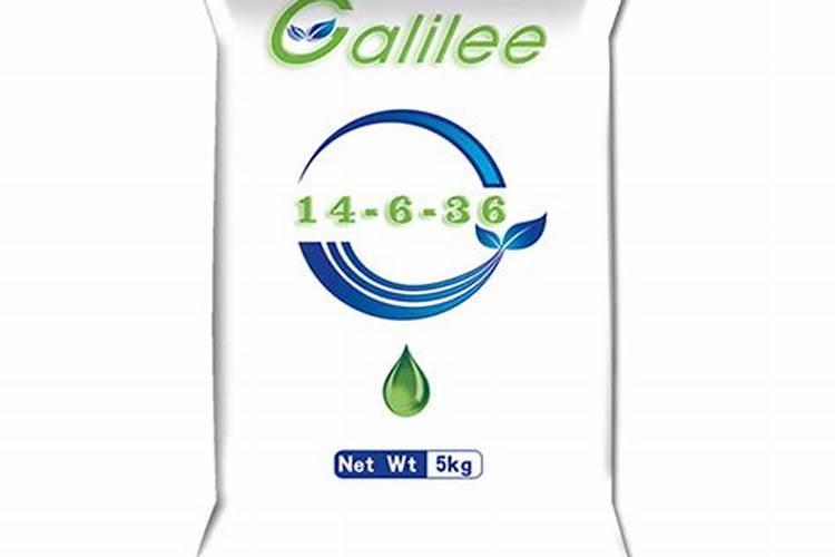 海下两万米有什么