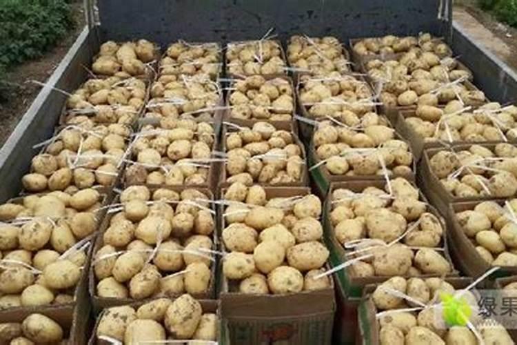 种土豆每亩用多少肥料最好