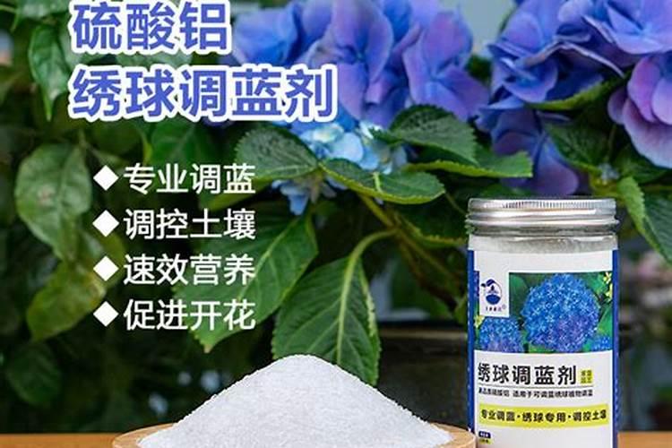 绣球,你调蓝了吗？