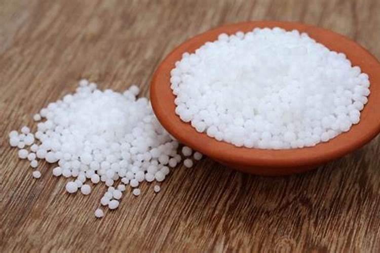 鱼蛋白能治疗葡萄软果么