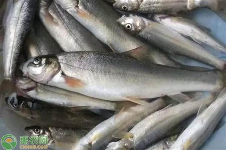 芸苔素14,24,28的区别