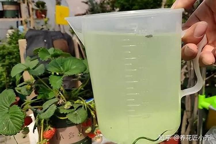 水溶肥料怎么使用