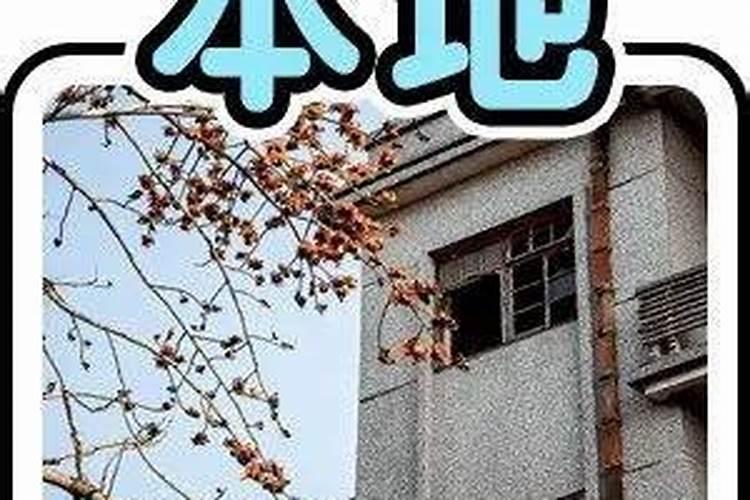 鸡粪有机肥发酵剂哪个厂家的产品好用呢？